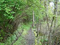 Trappist Abbey trail